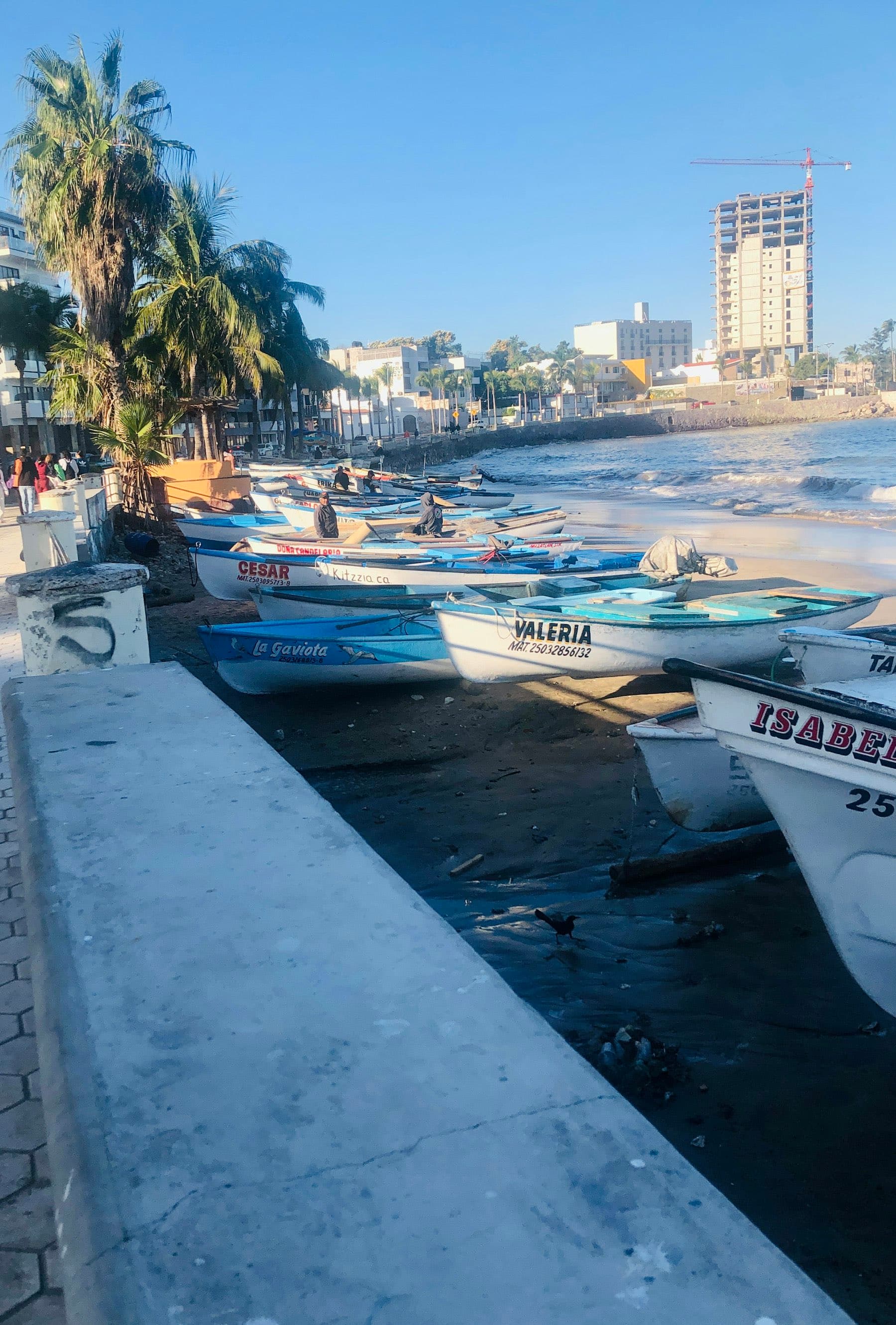 Pangas de pesca alineadas en la playa frente al pueblo