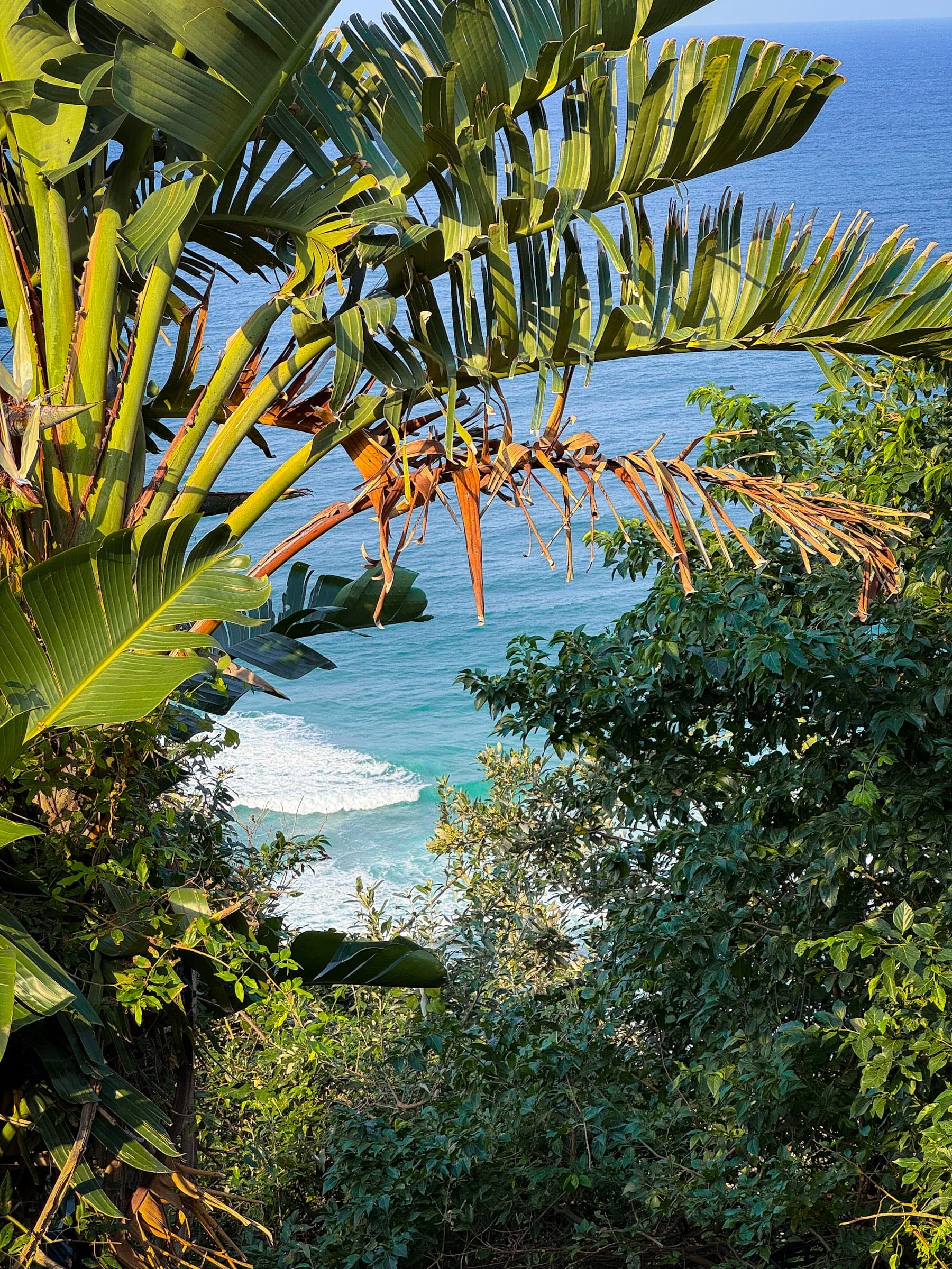 Cala turquesa enmarcada por vegetación tropical desde lo alto