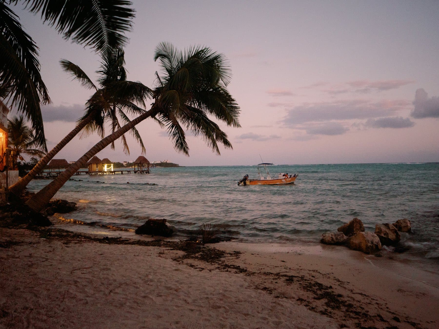 Palmeras inclinadas sobre la arena al final de la tarde