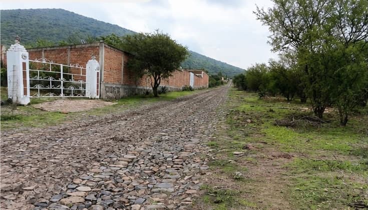 Calle empedrada del coto