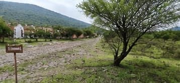 Terreno con árbol · Terreno campestre en Rancho Miraflores, Juanacatlán